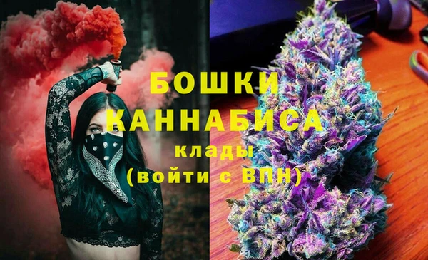 ПСИЛОЦИБИНОВЫЕ ГРИБЫ Алексеевка