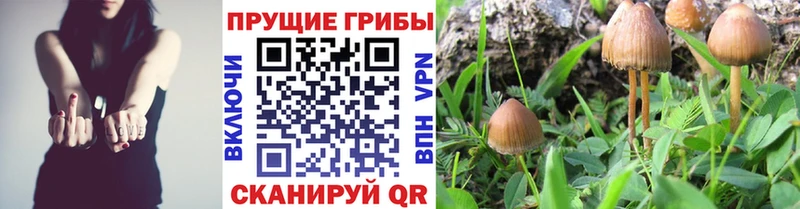 Псилоцибиновые грибы GOLDEN TEACHER  Купить  Стрежевой 